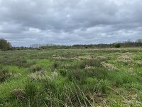 IMG_9232