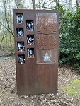 IMG_9237