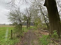 IMG_9247