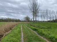 IMG_9257