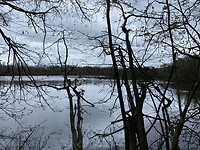 IMG_9264