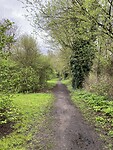 IMG_9273