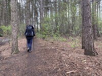 IMG_9277