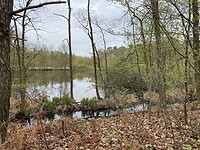 IMG_9288