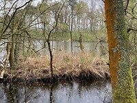 IMG_9291