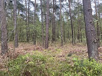 IMG_9307