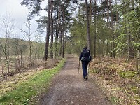IMG_9308