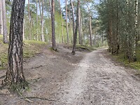 IMG_9312