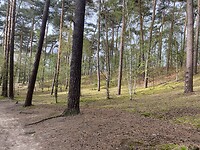 IMG_9313