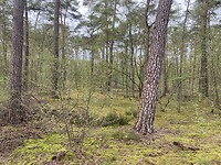 IMG_9315