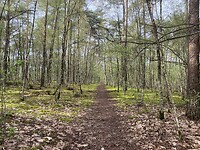 IMG_9316