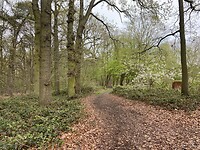 IMG_9318