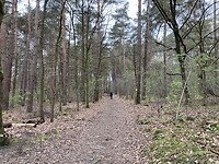 IMG_9223
