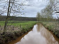 IMG_9221