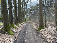IMG_9226