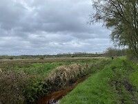 IMG_9231