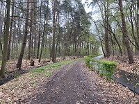 IMG_9261