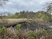 IMG_9281