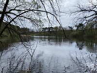IMG_9282