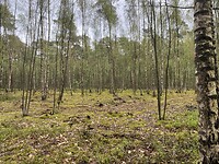 IMG_9310