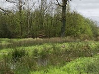 IMG_9326