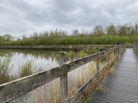 IMG_9330
