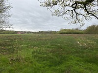 IMG_9332
