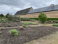 IMG_9352