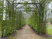 IMG_9353