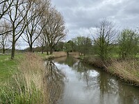 IMG_9354