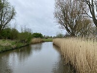IMG_9357