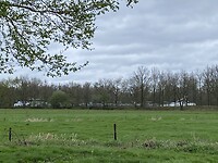 IMG_9366