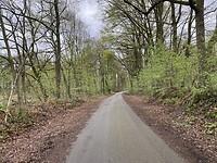 IMG_9368