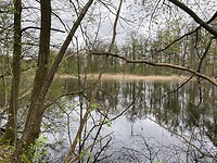 IMG_9369