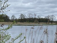 IMG_9370