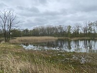 IMG_9375