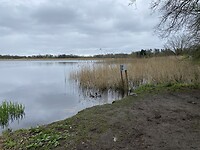 IMG_9382