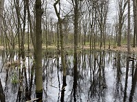 IMG_9397