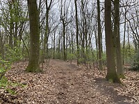 IMG_9399