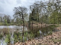 IMG_9400