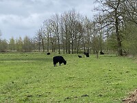 IMG_9402