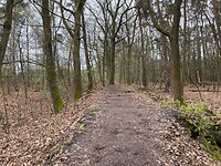 IMG_9406