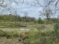 IMG_9407