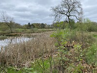 IMG_9408