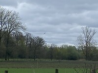 IMG_9363