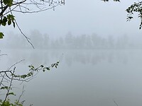 IMG_9797