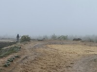 IMG_9813