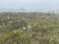 IMG_9815