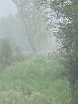 IMG_9820
