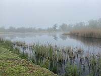 IMG_9827